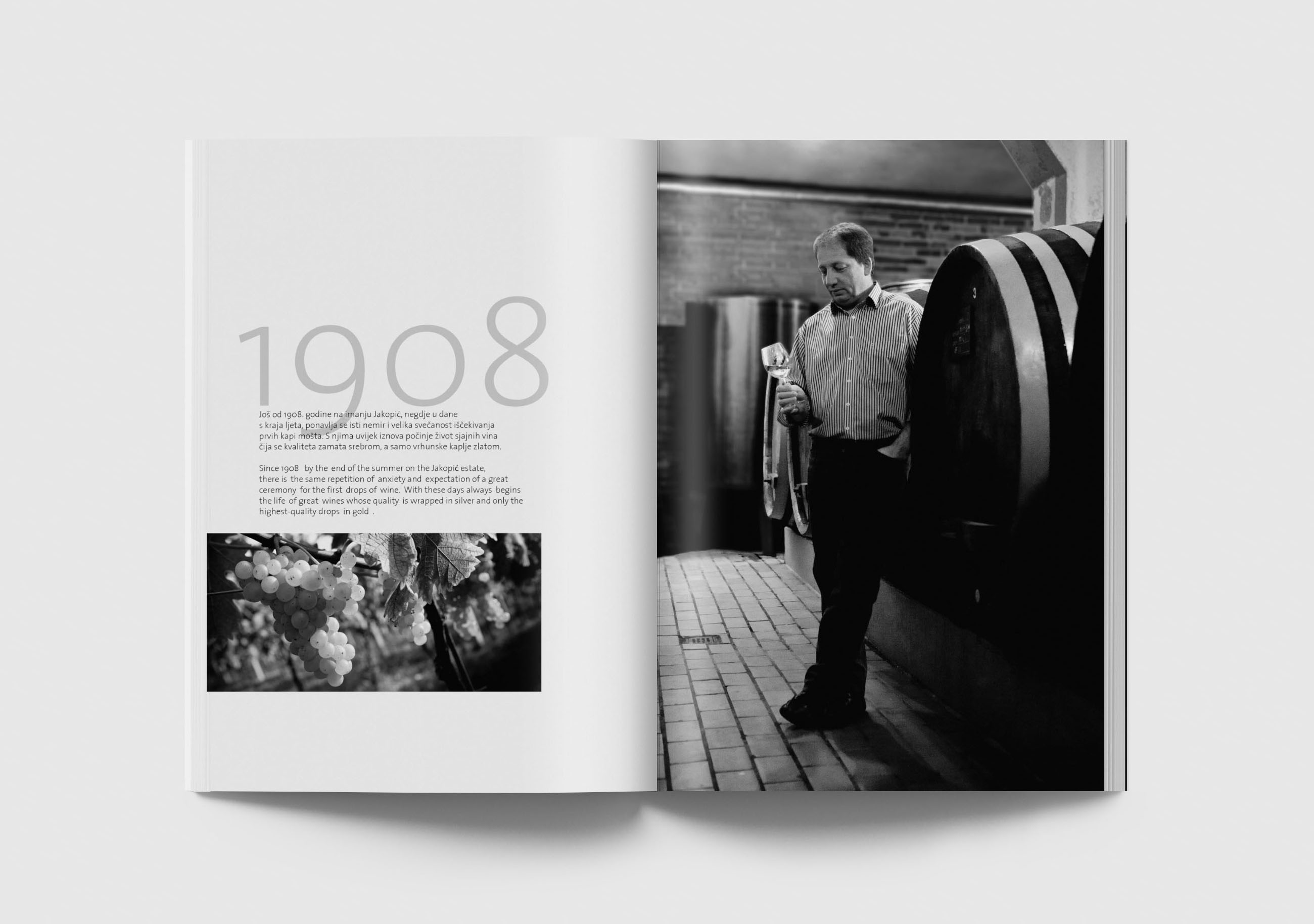 Prospekt Vinarije Jakopić